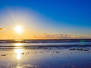 Beach - Cozy chalet at a quiet location, 7 km from the beach (Heiloo)