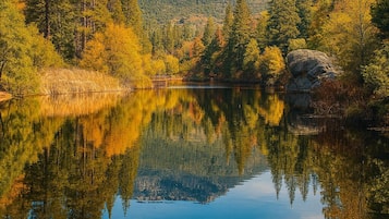A serene lake with reflections of trees and mountains, surrounded by a forest.