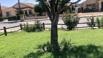 Fachada del alojamiento