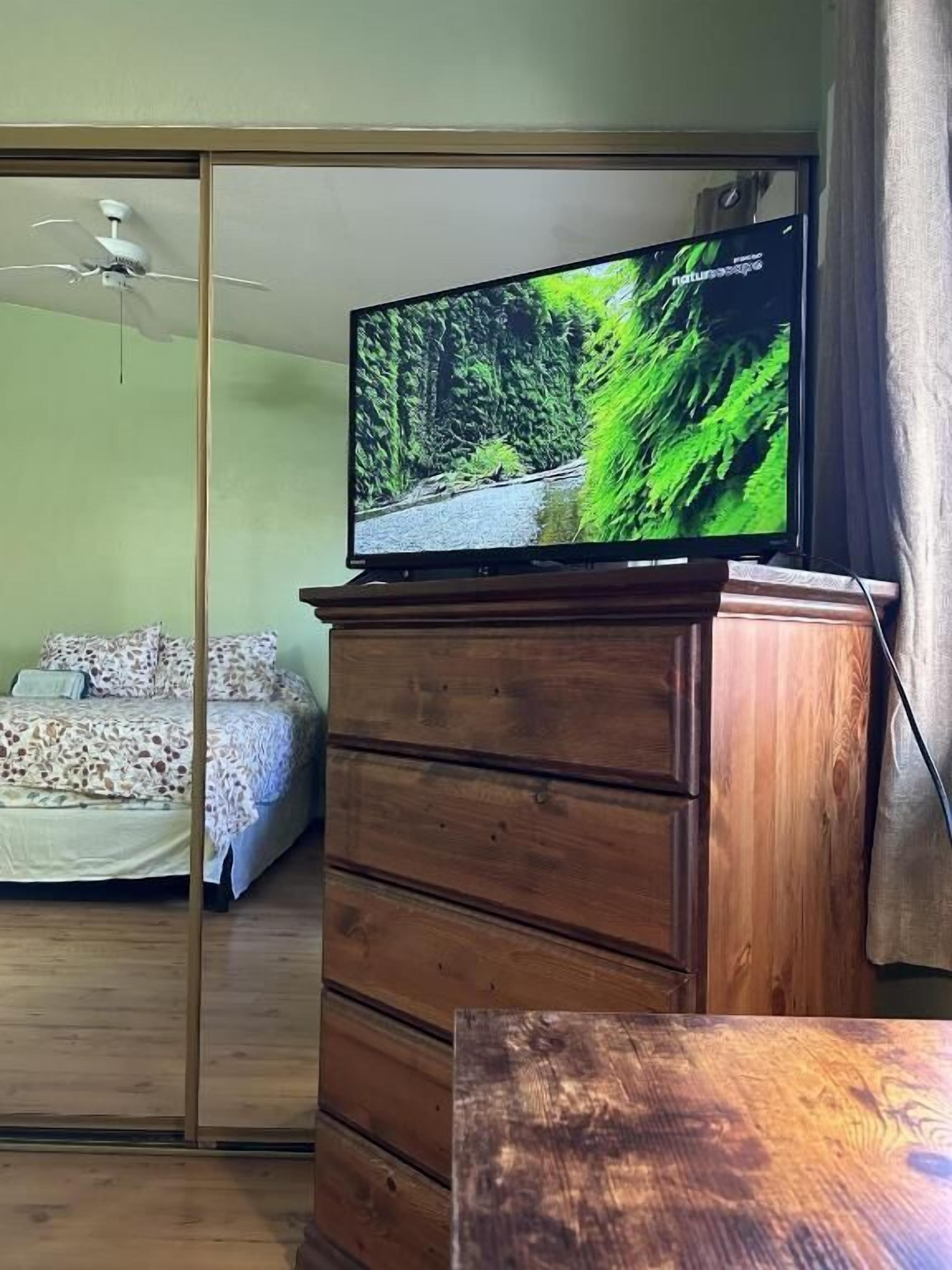 A bedroom with a bed, a wooden dresser, and a television on top of the dresser displaying a nature scene.