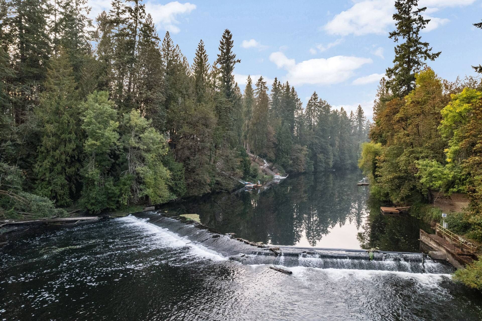 A serene river with a waterfall, surrounded by dense forest and a clear sky.