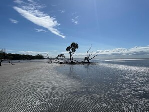 Beach - Charm and Character in leafy green suburb (Caboolture)