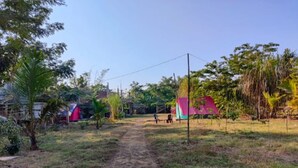 A dirt path leading through a grassy area with tents and trees. - Homocation Changghar Resort (Kaliabar)