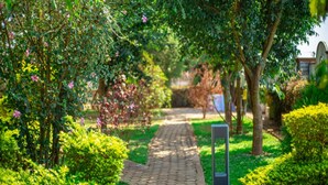 A paved garden pathway surrounded by lush greenery and flowering plants. - Nyungwe Hotel by Savany Investments (Kigali)