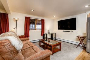 TV, fireplace, books