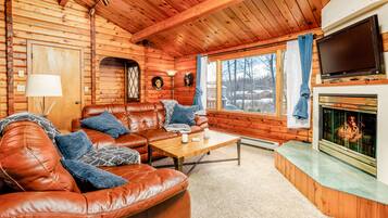 TV, fireplace, books