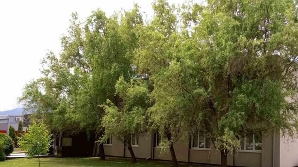 Business center - Hotel Drinski Talas (Bratunac)