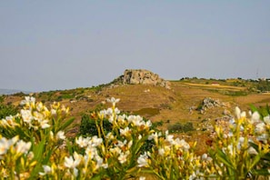 Eine natürliche Landschaft mit einer markanten Felsformation im Zentrum, umgeben von Grünpflanzen und Wildblumen.