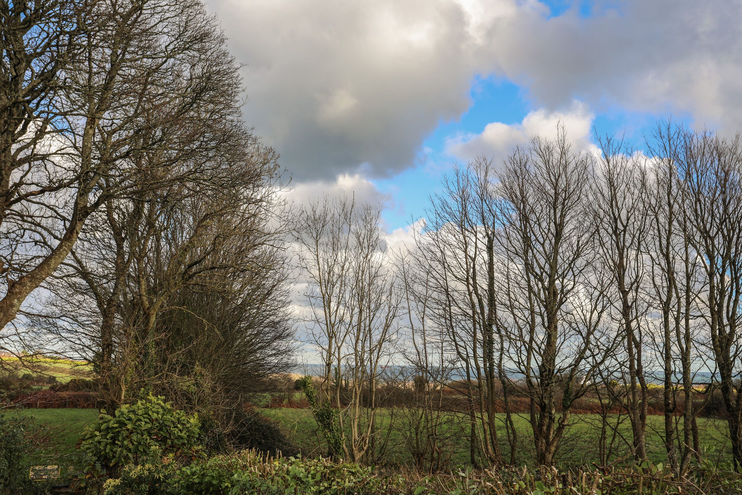 A rural landscape with trees and a field.