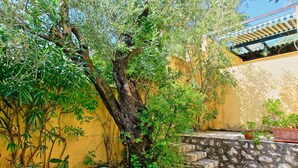A patio with a stone wall, a tree, and a table with chairs. - Tinas Apartment in Mparmpati (Corfu)