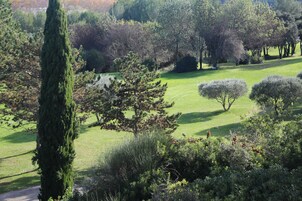 Vista desde la propiedad