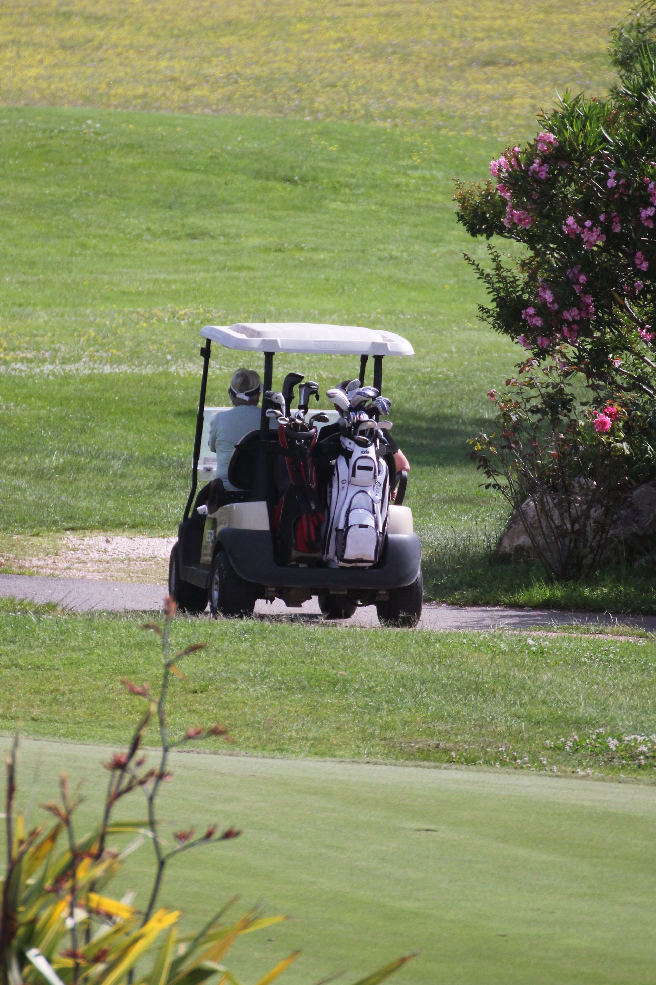 Un carrito de golf con un bolso de golf en la parte trasera, avanzando por un camino en una zona verde.