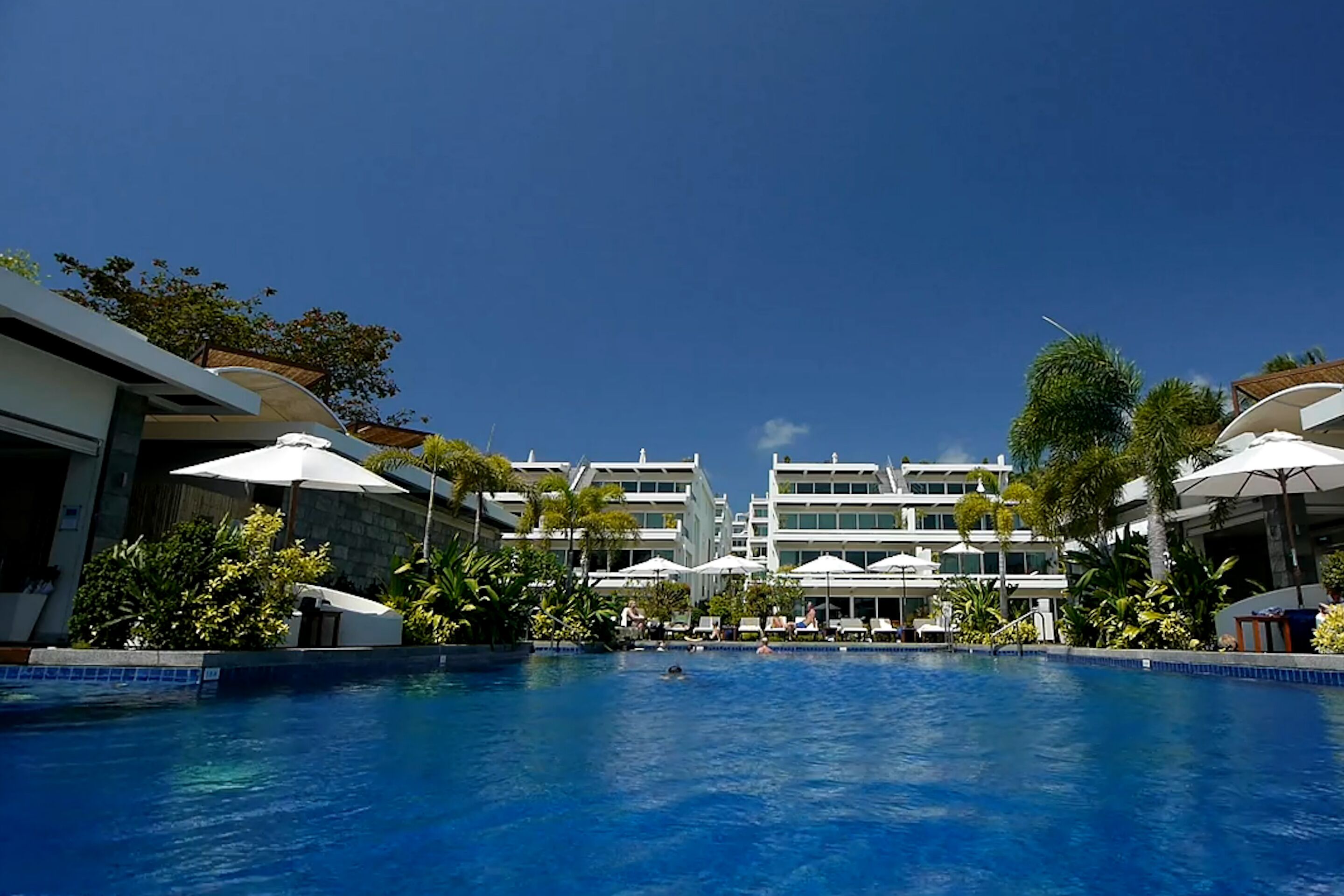 A swimming pool with lounge chairs and umbrellas, surrounded by modern buildings and tropical plants.