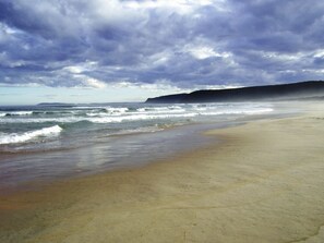 Playa en los alrededores 