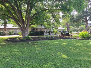 A well-maintained garden with a large tree, a decorative horse statue, and a vintage carriage. - Popular large river home pool, pickelball, basketball, volleyball, nice area (Seguin)