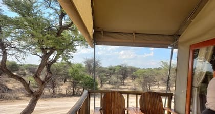 Tsabong Eco-Tourism Camel Park