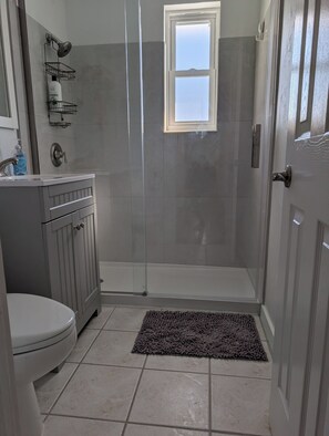 Combined shower/tub, hair dryer, towels, soap