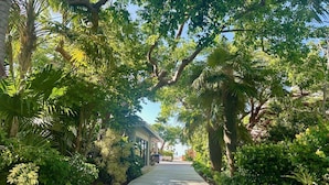 Un camí vorejat per vegetació exuberant i arbres, que condueix a un edifici amb zona coberta.