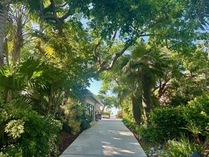 Property grounds - Tom's Spectacular OceanFront 3 Bdrm Endless Atlantic view, Key West Amazing (Key West)