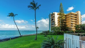A beachfront hotel with a grassy lawn, palm trees, and a view of the ocean. - Oceanfront Maui condo w/ lanai and pool access (Lahaina)