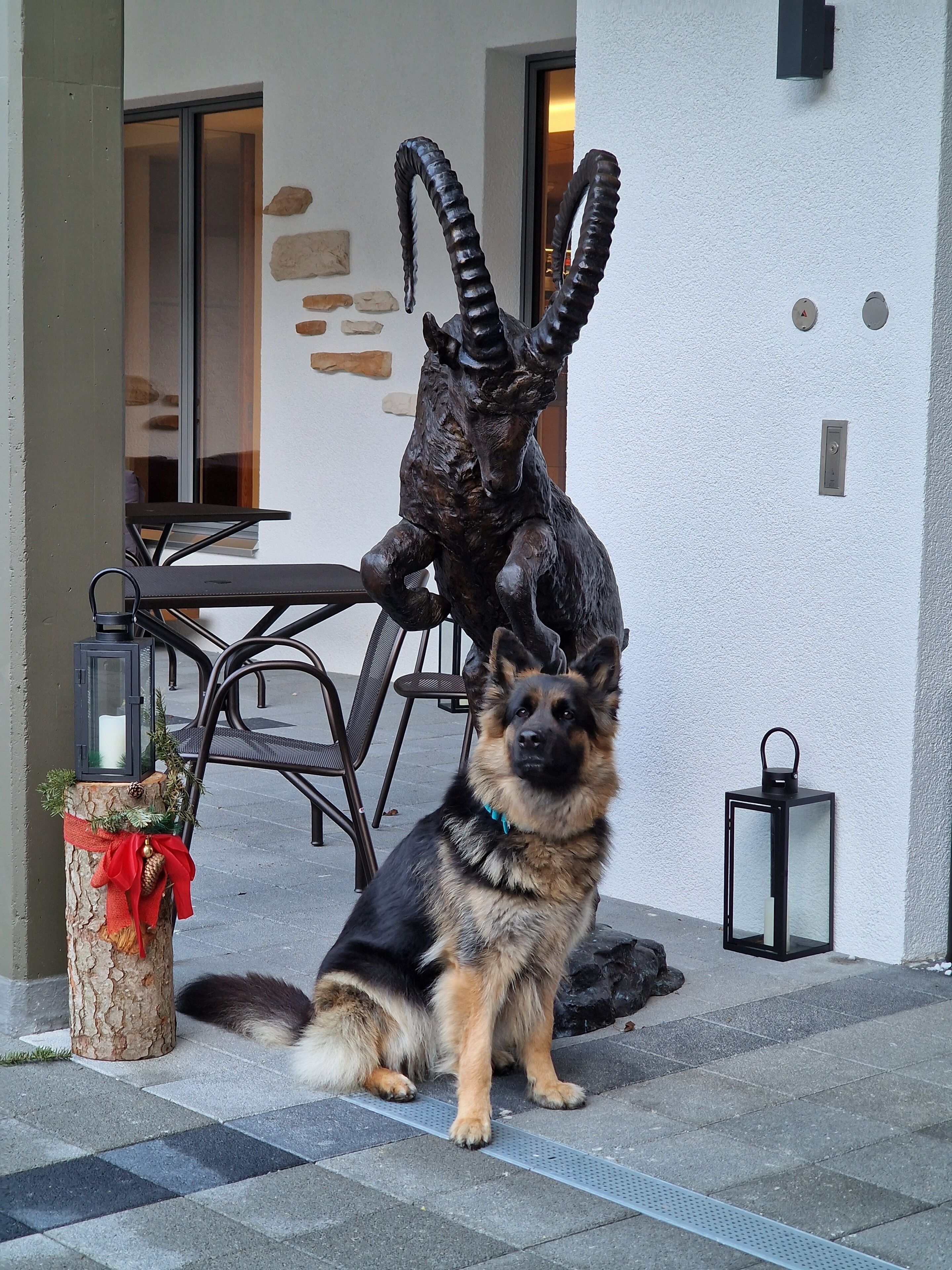 Un perro sentado frente a un edificio con una gran escultura de una criatura con cuernos.