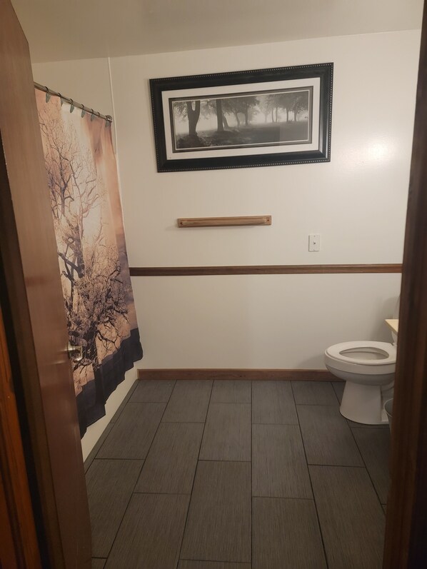Un baño con inodoro, un cuadro en la pared y un perchero.