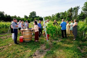 Winery