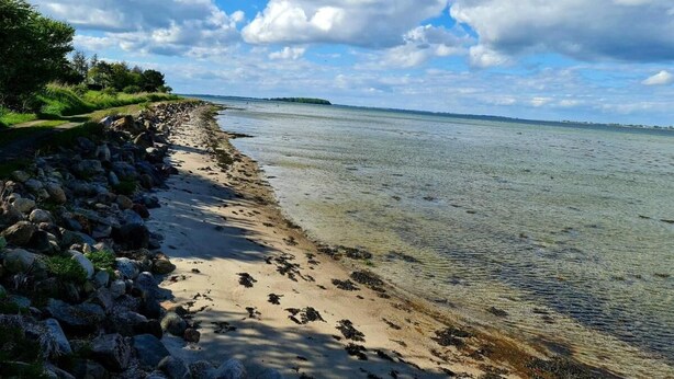 Ranta
