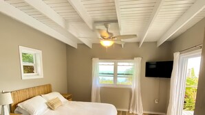 Une chambre à coucher avec un lit, un ventilateur de plafond, une télévision et une fenêtre avec des rideaux.