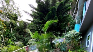 Une terrasse en bois bordée de pierres mène à un jardin où l’on trouve diverses plantes et un escalier.