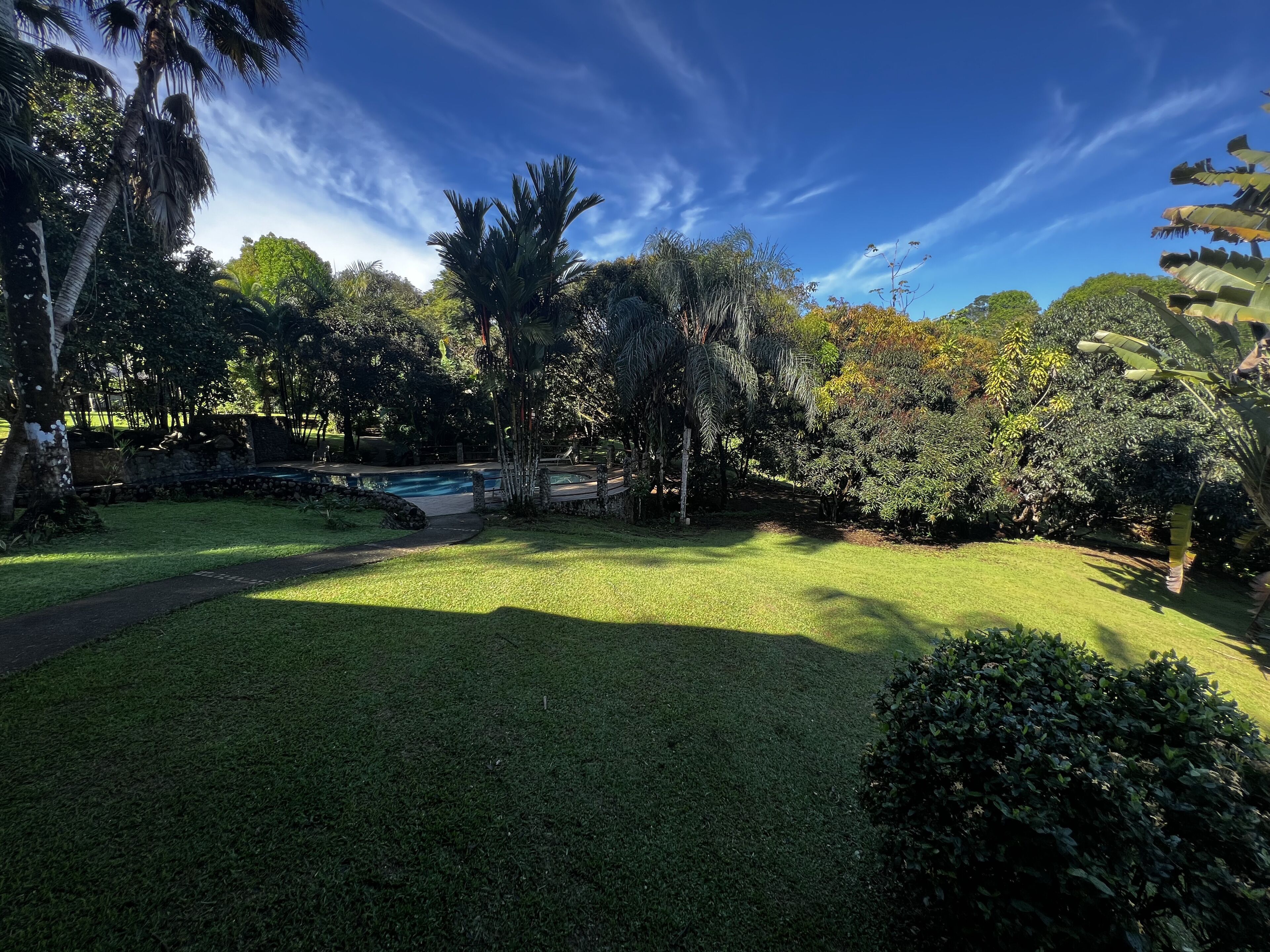 Un exuberante jardín con piscina, rodeado de árboles y follaje variado.