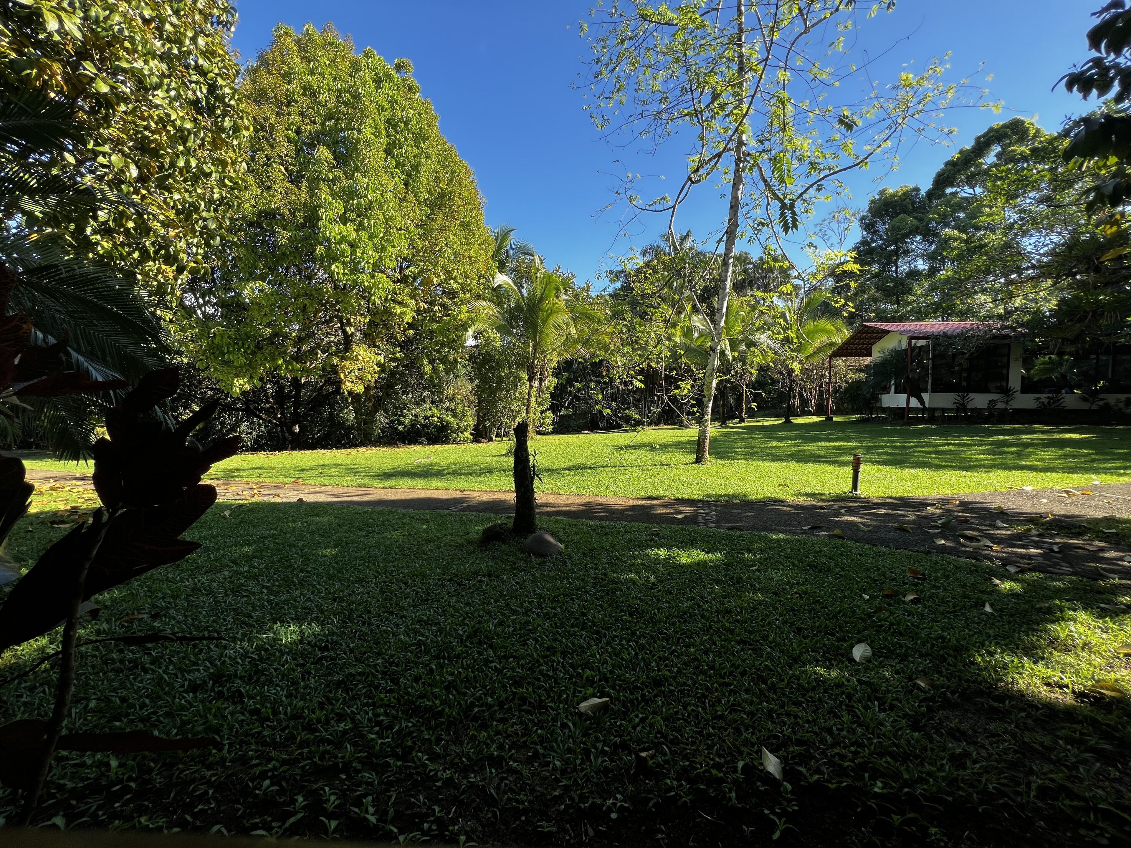 Ein gepflegter Park mit verschiedenen Bäumen, blauem Himmel und einem kleinen Gebäude im Hintergrund.