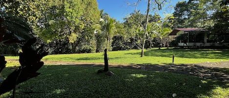 A well-maintained park with a variety of trees, a clear sky, and a small building in the background.