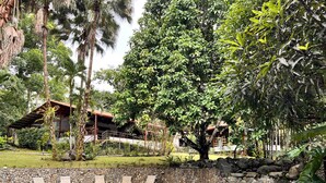A pool area with lounge chairs, a stone wall, and a building with a red roof in the background. - Blue Banyan Inn (Naranjito)