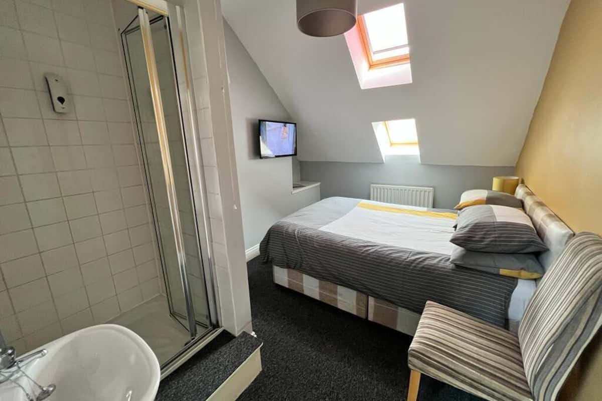 A bedroom with a bed, a chair, a TV, a shower, and skylights.