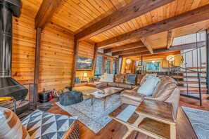 TV, fireplace, books