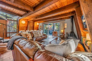 Télévision, cheminée, livres