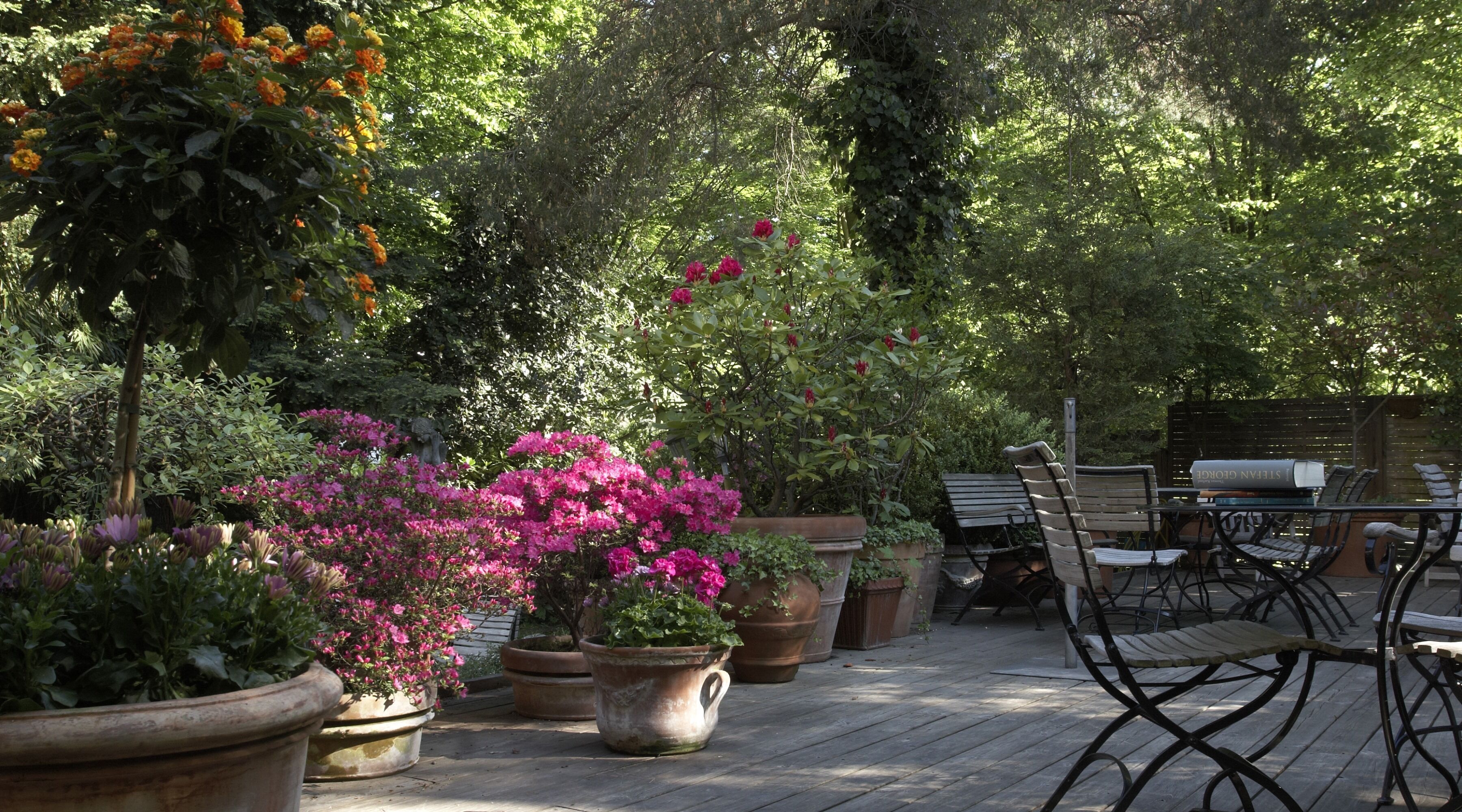 Foto - Wedina Serviced Apartments