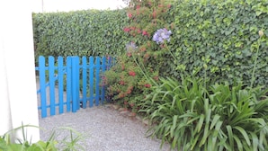 A garden with a blue fence, gravel path, and various plants.