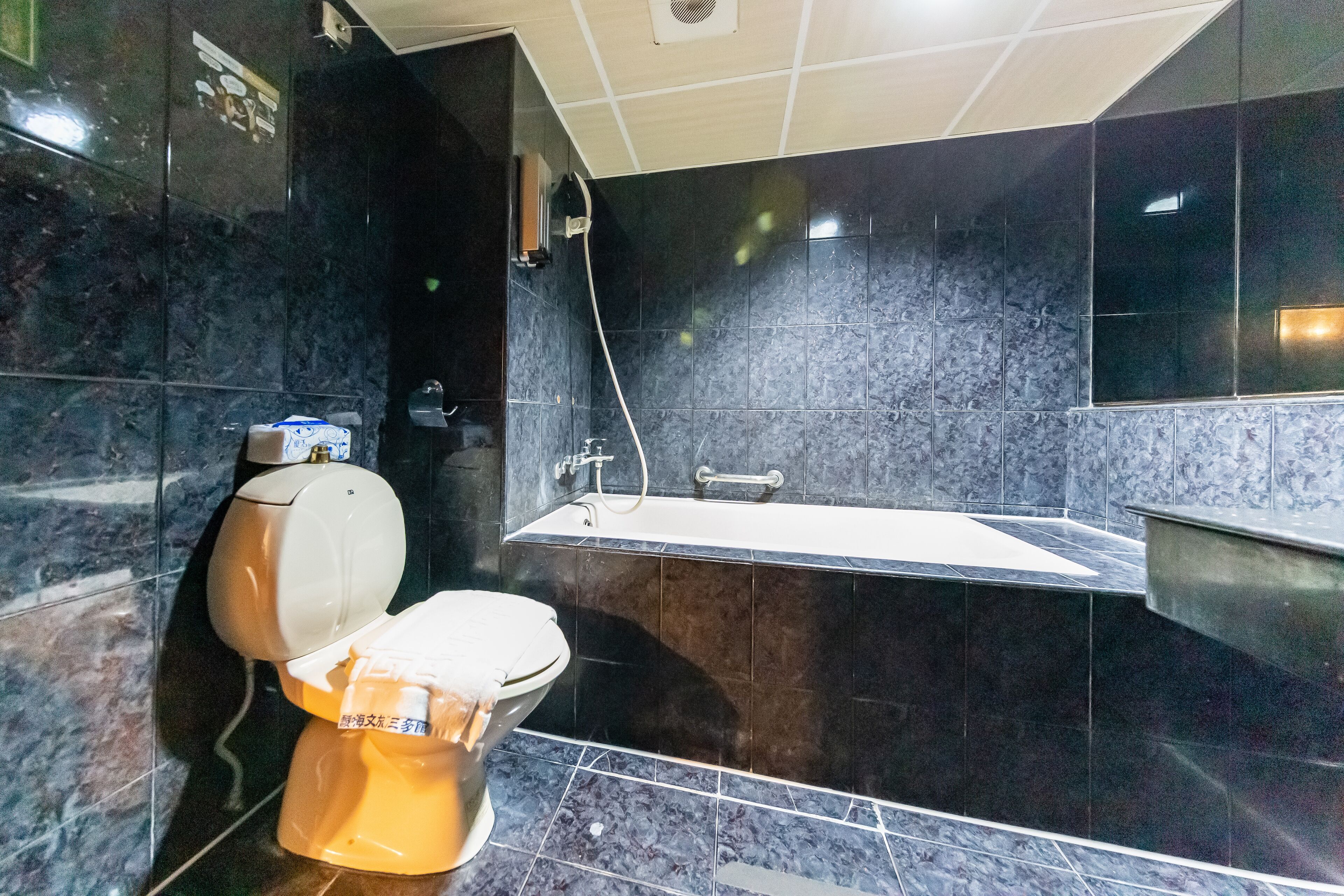 A modern bathroom with a toilet, a bathtub, and a shower.