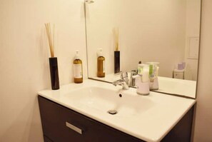 Shower, hair dryer, toilet paper