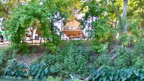 A wooden structure with a balcony overlooking a pond, surrounded by dense foliage. - 19 Son's Rio Cibolo - Birdhouse Cabin (Marion)
