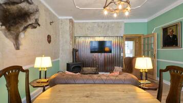 TV, fireplace, books