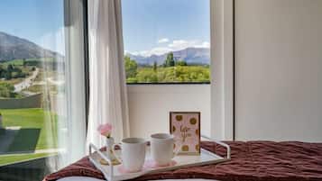 2 bedrooms, desk, iron/ironing board, WiFi