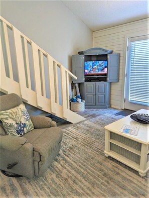 TV, libri, biblioteca musicale