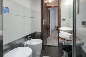 Shower, hair dryer, bidet, towels