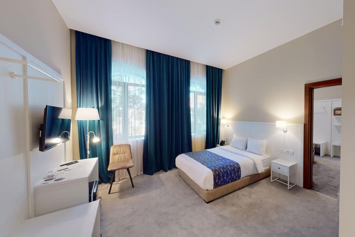 Basic Double Room | Minibar, in-room safe, iron/ironing board, free WiFi
