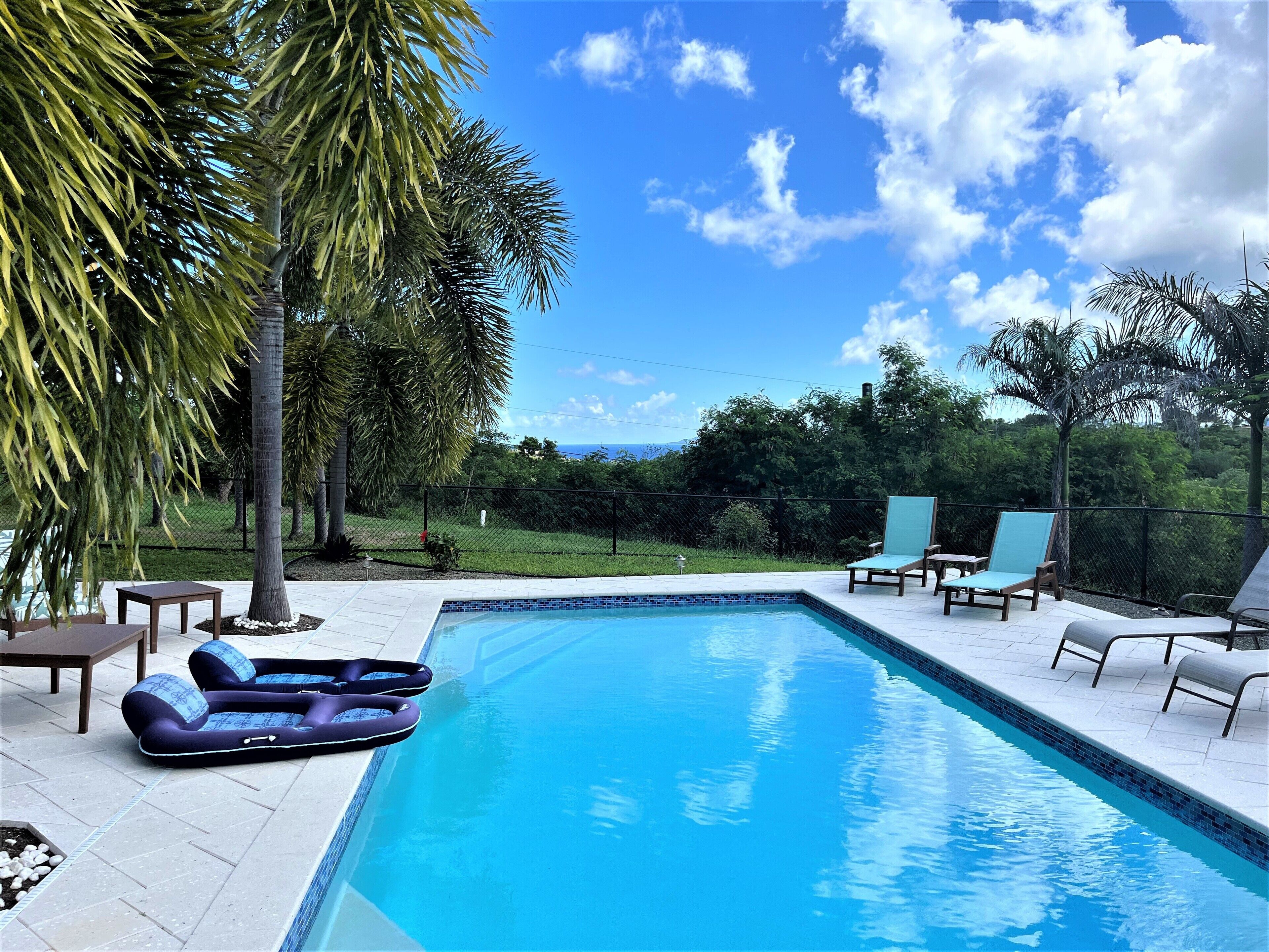 A swimming pool with lounge chairs and a palm tree.