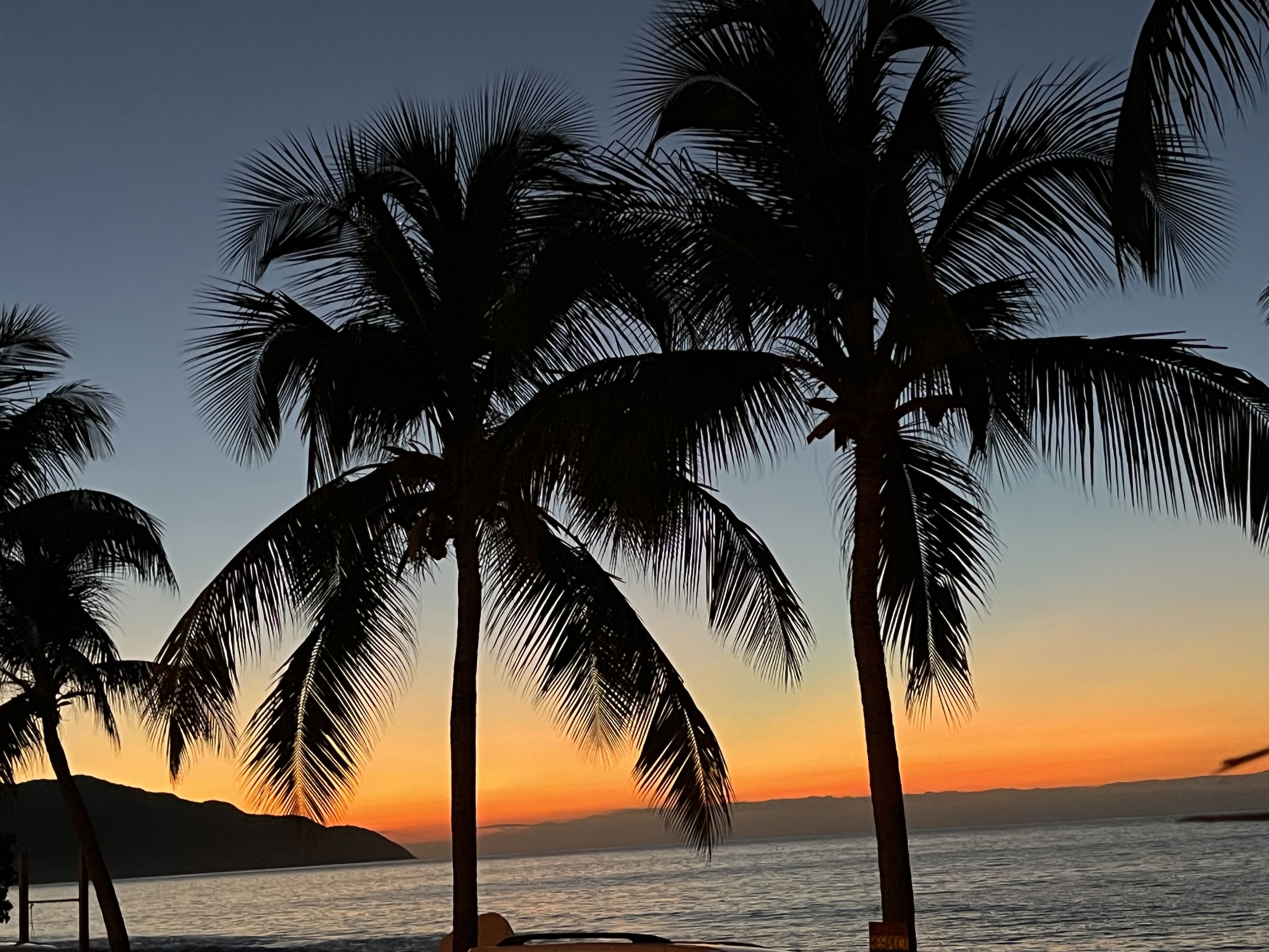 Sun-loungers, beach towels