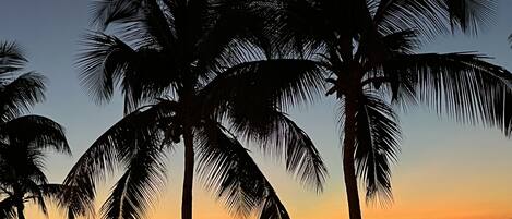 Sun loungers, beach towels